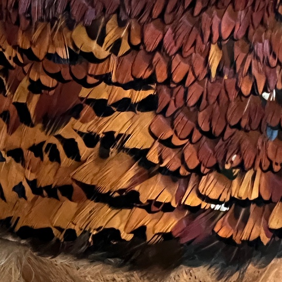 Vintage 1950s Pheasant Feather Bucket Hat main image 5